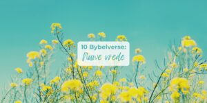 Bybelverse oor vrede